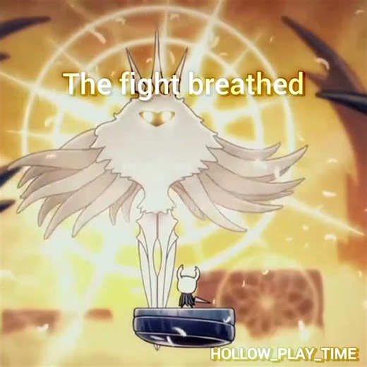 #knight vs radiance #radiance boss fight