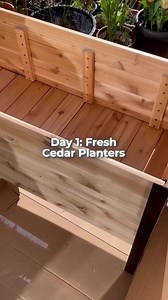 15K views · 2.3K reactions | Upgrade Your Garden for Your Best Growing Yet! ⭐️ Thousands of Happy Gardeners! 蝹 Real Western Red Cedar  Chemical Free and Sustainable  Easy to Assemble (All tools provided)  Promotes Healthier Plants  Available in Multiple Sizes Garden Savings Await! | Cedar Planters | Facebook