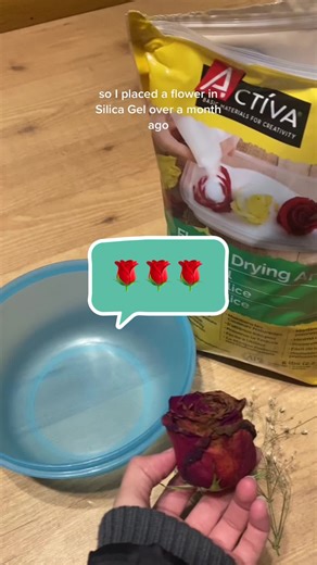 Flower Preservation in Resin: A Special DIY Project