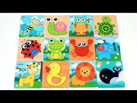 Learn Animal Names & Shapes with Matching Activity Puzzle | Preschool Toddler Toy Learning Video