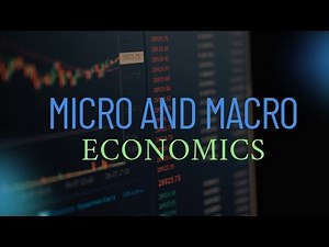 Micro vs Macro Economics | Basic Concepts Explained Simply.