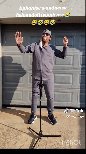 Mr Dingo - Ballito: New Challenge Drops June 13