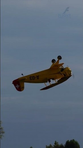 EPIC Giant Scale RC Biplane Aerobatics! #Shorts #YouTubeShorts
