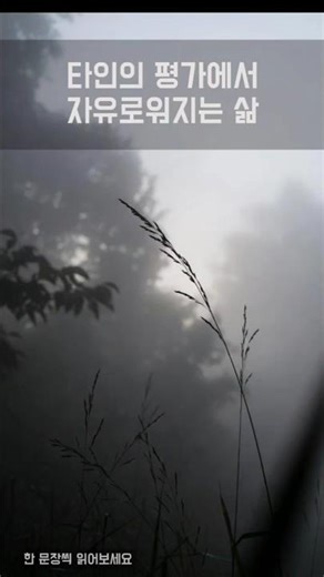 쇼펜하우어 인생수업 | 타인의 평가에서 자유로워지는 삶