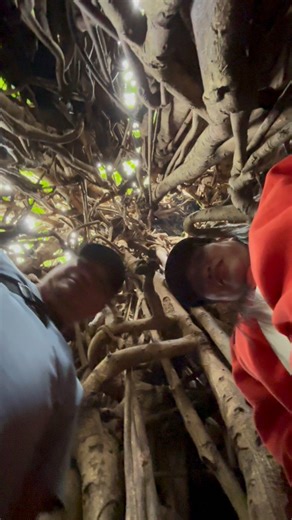 Pinaka malaking Balete tree sa Pilipinas at itinuring na pinakamalaking Balete tree sa Asya. #baletetree | Marilyn Arciaga