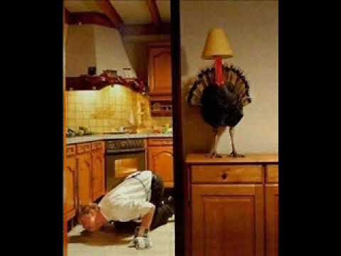 Bob & Tom Classics - Mr. Obvious - The Turkey