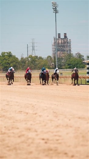 3.7K views · 45 reactions | Sam Houston Race Park will close out our 30th anniversary live racing season with a stakes filled card that leads up to the $621,810 Sam Houston Futurity (G2). Join us this Saturday, June 15th for all the action! 鸞 #SHRP | Sam Houston Race Park | Facebook