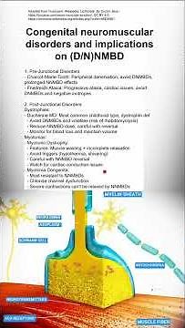 Congenital neuromuscular disorders and anesthetic implications