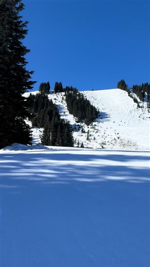 Twilight 的悲催，娃在我能用卡之前就要走，只好hike来滑 #西雅图 #滑雪#snoqualmie