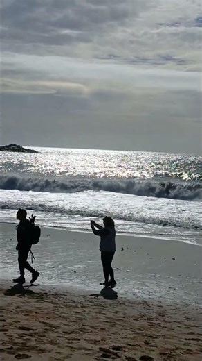 Sand Beach Acadia National Park Acadia Woody Locally Guided Private Sightseeing Tours 2025 Review!