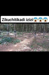 473K views · 9.2K reactions | Kwavuta | Talent Promo | Facebook