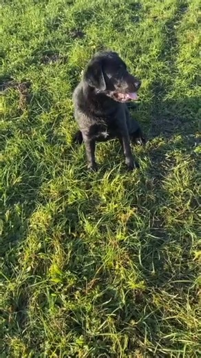 25 reactions · 9 comments | Carin J. Weibull on Reels | Facebook