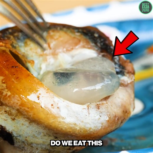 Inside A Japanese Seafood Market! 👀🦞 | Best Ever Food Review Show