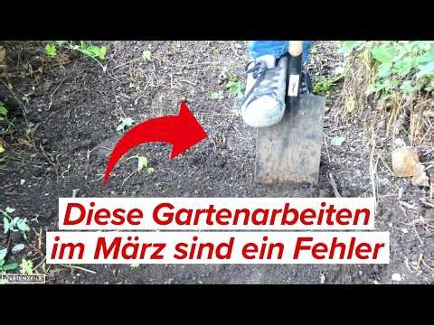 Diese Gartenarbeiten im März sind ein Fehler