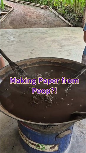 POOPOOPAPER park: Perfect for your next family trip.