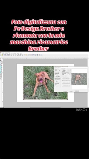 Foto digitalizzata con il Software Pe Design Brother