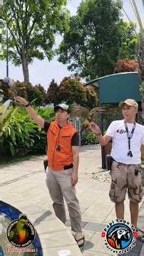 Patagonian Conure Free Fly, Pelangi Park Sentul Bogor