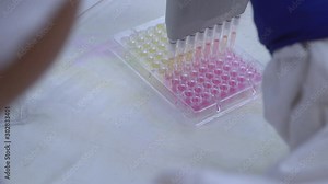 Laboratory research, medical specialist uses multipipets to fill wells of multiwell tray. A multichannel pipette loads biological samples into a microplate for laboratory testing. 4k footage.