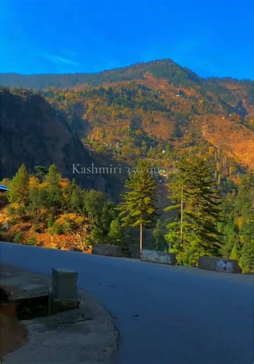 Significant Events on December 24