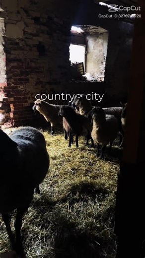Country life or city life—where’s home for you? I’ve done the big city. Found my peace in the country—space, stars, quiet. If you could move tomorrow, where would you land and what’s your must-have (acreage, walkability, views, shop/ADU)? Drop your top 3 in the comments. Want a curated list? DM Roots Real Estate Group and we’ll send options that fit. #fyp #foryou #RootsRealEstateGroup #CountryLiving #CityLife