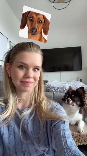 Welchem Hund sehe ich ähnlich? | Lustiger Filter Test