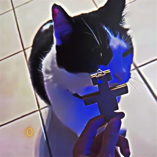 Conhecendo seu criador (3)✝️❤️ #birdtrend #jesus #fe #deuséfiel