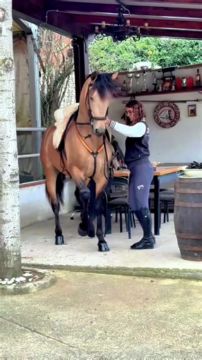 “Horse Breeding Basics: Raising Healthy Foals”#HorseBreeding #EquineLife #FoalCare #HorseFarm #AnimalCare #HorseLove #USATrending