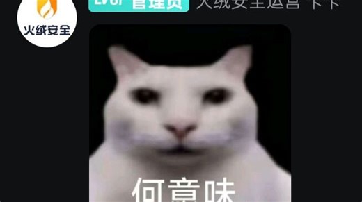 两分半演示 R-0 结束火绒主动防御进程