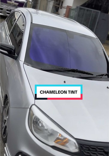 Chameleon Gank: Stunning Color Changing Tint