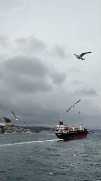 Could Turkey's New Canal Reshape Black Sea Geopolitics? #turkey #istanbul #geographythroughmaps
