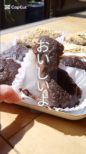 冷やご飯＆お餅で超簡単！もっちりおはぎの作り方#あんこ#short#おはぎ #簡単レシピ #節約レシピ #余ったお餅活用 #もちアレンジ