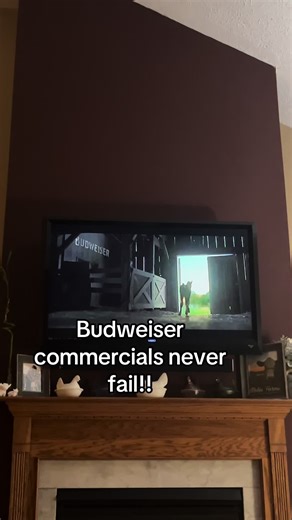 Budweiser Clydesdales Super Bowl Commercial Highlights