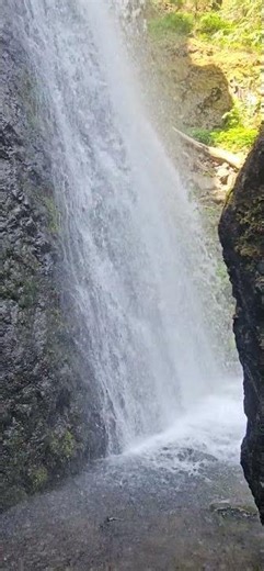 🌲💦 Forest Wrapped Around Constant Motion — Starvation Creek Falls