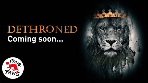 Proudly presenting “Dethroned”! 👑🦁 Mankind’s relationship with big cats has been a source of both fear and awe for centuries. Now, it’s reached a critical juncture. We are thrilled to share, “Dethroned”, a thoughtful and beautifully crafted investigation into our relationship with big cats. From pet owners in Pakistan, to the lion farms of South Africa, the film looks at how we treat these majestic creatures in different parts of the world. 🎥 “Dethroned” is more than a film; it’s a profound e