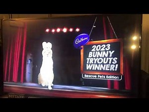 Cadbury Bunny Commercial with 2023 Winner