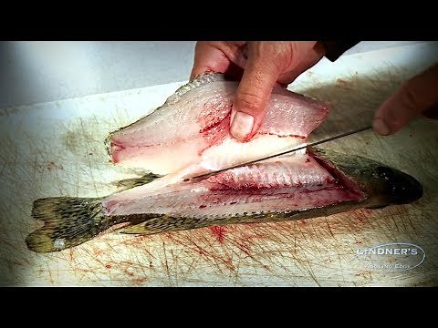 How to Fillet a Crappie