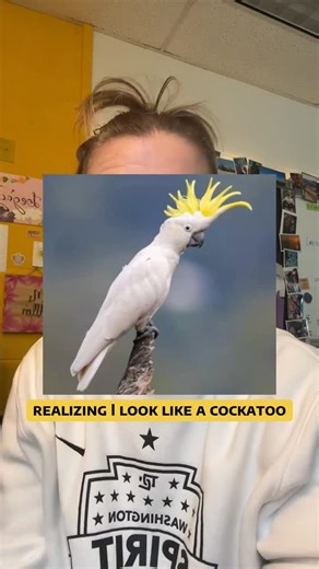 ☀️ A m y Aｌl eｎ on Instagram: "Moral of the Story: don’t leave me alone with a hot glue gun. #qotc #bedazzlingmydesk #elementsofflair"