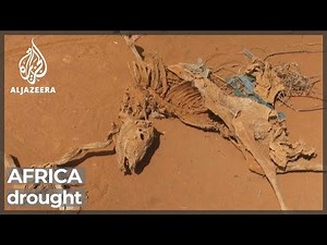 UN: Horn of Africa drought threatens to starve millions