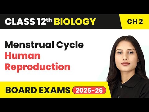 Menstrual Cycle - Human Reproduction | Class 12 Biology Chapter 2 | CBSE 2024-25