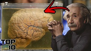 Here are ten of the most famous preserved body parts, and the stories of how they came to survive their owners. This is part 2 in our series of Top 10 Scary Preserved Body Parts exclusively on Most Amazing Top 10. For Business Inquiries Contact: mostamazingtop10@gmail.com | Most Amazing Top 10