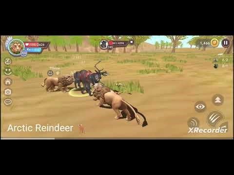 Wildcraft new winter animals in Egypt ☃️❄️