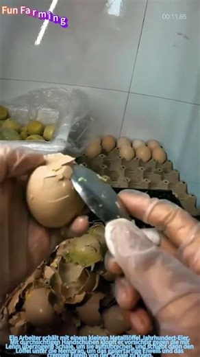 Die Schale des Jahrhundert-Eis: Die Löffeltechnik für diese konservierte Delikatesse