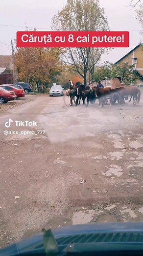 Căruță cu 8 cai putere!
