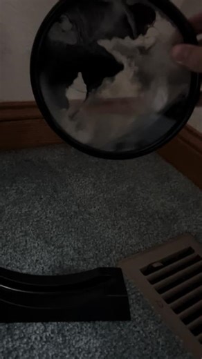 Cant get a better gift #gift #shop #christmasgift