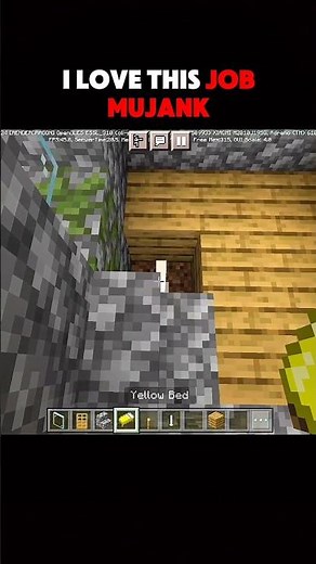 MUJANK I LOVE THIS JOB |•| PM30 |•| #minecraftshorts #minecraft #minecrafthumor #minecraftmemes
