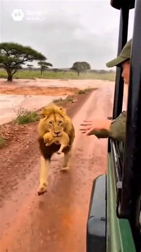 Animal rescue failures😭 #shorts #trend #trending #animalrescue #wildlife #emotional