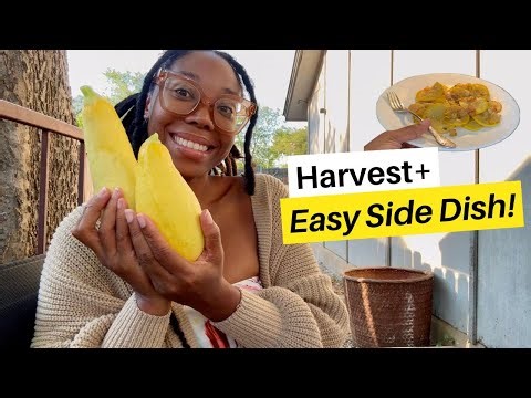 Quick Southern Squash Side (Straight from My Container Garden!)