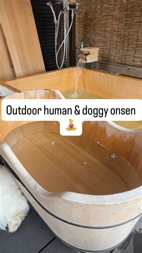 2.7K views · 91 reactions | Since you all loved my last onsen video,...