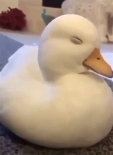 167K views · 6K reactions | Follow Strangest Media for more content that’s similar | Things A.I Couldn’t Recreate | Facebook