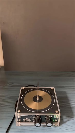 Lightning vs. Sunflower: A Cool Science Experiment